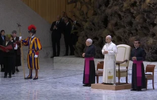 El Papa celebró la Audiencia General en el Aula Pablo VI Crédito: captura de pantalla Vatican Media