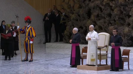 El Papa celebró la Audiencia General en el Aula Pablo VI