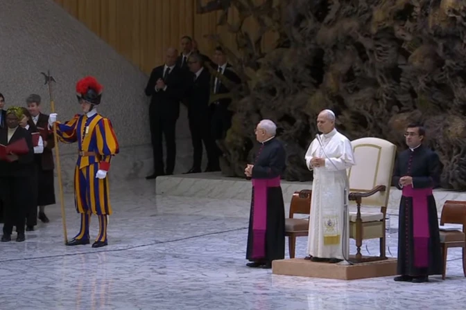 El Papa celebró la Audiencia General en el Aula Pablo VI