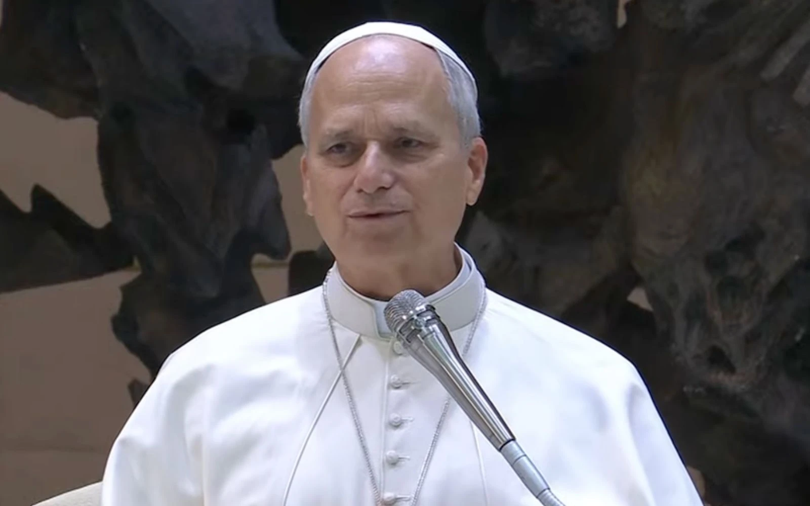 El Papa en el Aula Pablo VI?w=200&h=150