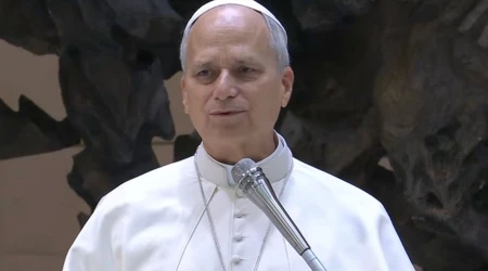 El Papa en el Aula Pablo VI