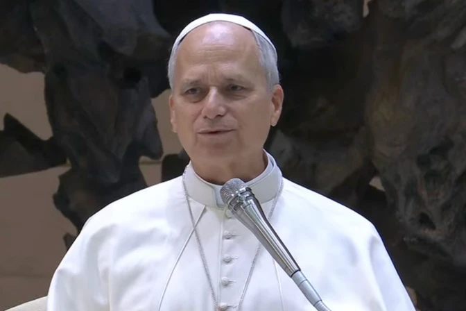 El Papa en el Aula Pablo VI