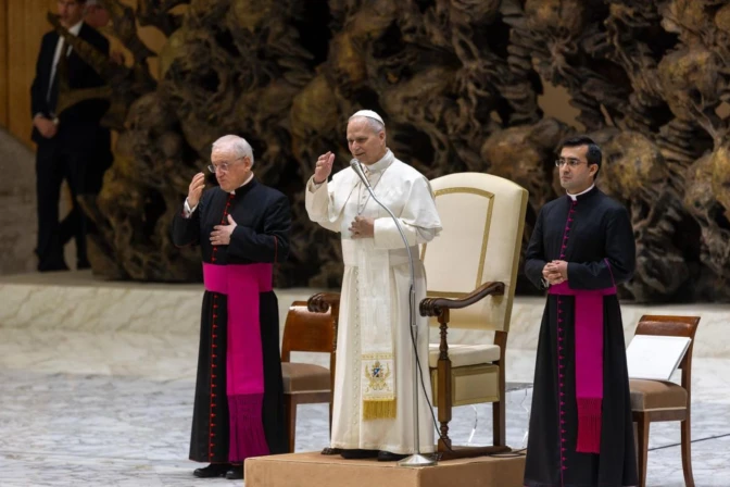 El Papa presidió la Audiencia General en el Aula Pablo VI