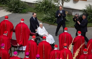El Papa Francisco saluda a los cardenales en su última aparición pública el Domingo de Ramos 2025 Crédito: Bénédicte Cedergren / EWTN News