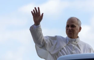 El Papa durante la audiencia Crédito: Daniel Ibañez/ EWTN News