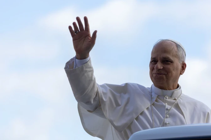 El Papa durante la audiencia