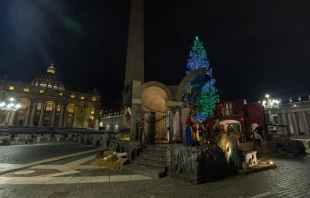 La plaza de San Pedro Crédito: Daniel Ibañez/ EWTN News