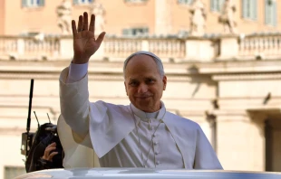 El Papa saluda a los peregrinos en la Plaza de San Pedro Crédito: Daniel Ibañez/ EWTN News