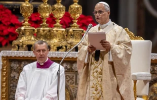 El Papa, en la Misa de Navidad Crédito: Daniel Ibañez/ EWTN News