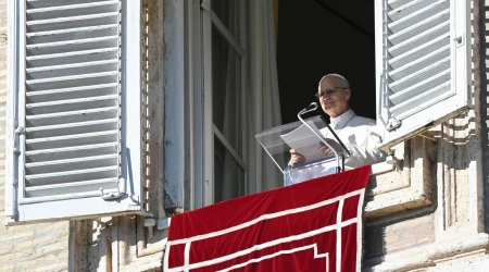 El Papa piidó llama a rezar por la unidad de los cristianos y por la paz en el este de la República Democrática del Congo