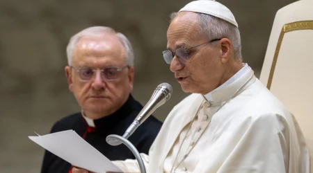Al término de la catequesis de este miércoles, en sus saludos a los fieles de lengua portuguesa, el Pontífice pidió oraciones por los afectados por esta catástrofe natural.