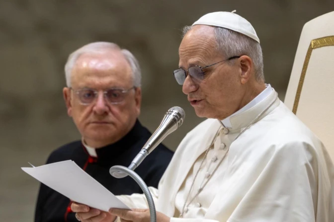 Al término de la catequesis de este miércoles, en sus saludos a los fieles de lengua portuguesa, el Pontífice pidió oraciones por los afectados por esta catástrofe natural.