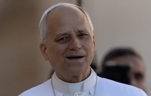 El Santo Padre asegura que la fe “une más allá de nuestras personalidades, de nuestros orígenes culturales y geográficos" Crédito: Daniel Ibañez/ EWTN News