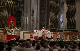 El Papa durante la Eucaristía Crédito: Mirjana Gabrić/ EWTN News