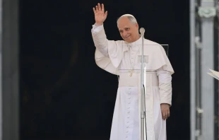 El Papa saluda a los peregrinos durante el Jubileo Crédito: Daniel Ibañez/ EWTN News