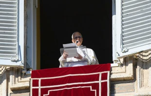 León XIV recordó también que este 1 de enero, la Iglesia celebra la Solemnidad de María Santísima, Madre de Dios. Crédito: Vatican Media