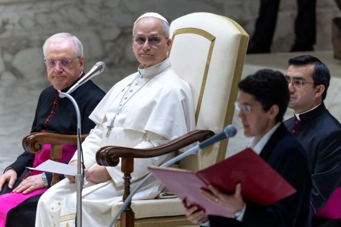 El Papa durante la Audiencia General de este miércoles