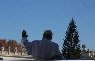 El Papa durante la Audiencia General de este miércoles Crédito: Daniel Ibañez/ EWTN News