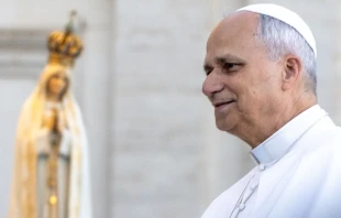 El Papa en una imagen de archivo Crédito: Daniel Ibañez/ EWTN News