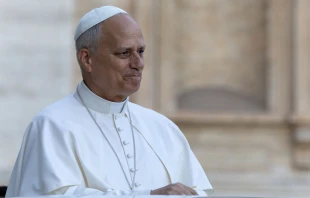 El Papa en una imagen de archivo Crédito: Daniel Ibañez/ EWTN News