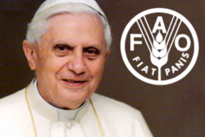 Papa Benedicto XVI: Que todo el mundo tenga acceso diario a alimentos