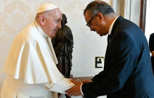 El Papa Francisco con Tedros Adhanom Ghebreyesus. Cru00e9dito: Vatican Media. 