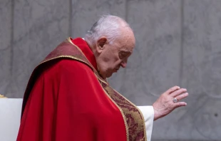 Papa Francisco en la Solemnidad de Pentecostés 2024 Crédito: Daniel Ibáñez - EWTN News