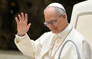 El Papa León XIV saluda mientras dirige una audiencia a representantes de los medios de comunicación, en el Aula Pablo VI del Vaticano, el 12 de mayo de 2025. Crédito: ALBERTO PIZZOLI / AFP vía Getty Images.