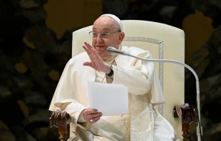 Imagen referencial del Papa Francisco durante una Audiencia General Crédito: Vatican Media
