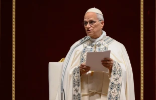 Papa León XIV. Crédito: Vatican Media