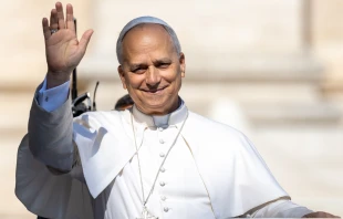 El Papa León XIV saluda en la Plaza de San Pedro. Crédito: Daniel Ibáñez / EWTN News.