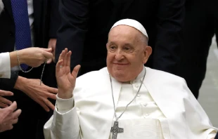 El Papa Francisco saluda a los fieles al final de su audiencia general en el salón Pablo VI, 17 de enero de 2024. Crédito: Alessia Pierdomenico - Shutterstock