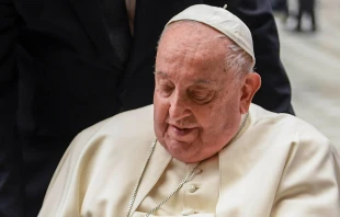 El Papa Francisco durante una Audiencia General en enero de 2025 Crédito: Vatican Media
