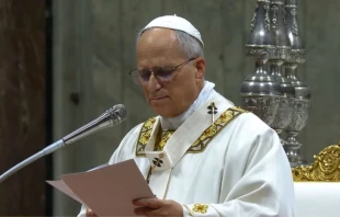 Papa León XIV en la Misa con ocasión de Nuestra Señora de Guadalupe Crédito: Captura de pantalla