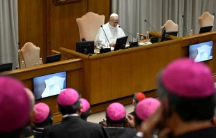 El Papa León XIV dirige su discurso a los nuevos obispos Crédito: Vatican Media