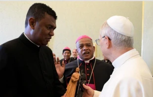 El Papa León XIV con obispos de Madagascar el pasado junio Crédito: Vatican Media