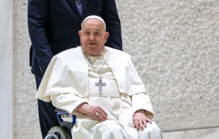 El Papa Francisco durante la audiencia general del 12 de febrero. Crédito: Daniel Ibáñez - EWTN News