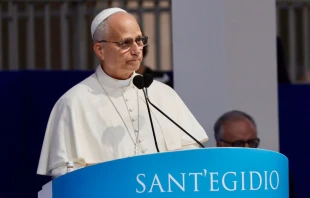 El Papa, mientras pronuncia el discurso en el evento por la paz Crédito: Daniel Ibañez/ EWTN News