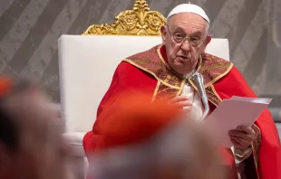El Papa Francisco en la la homilía de la Misa de Pentecostés, 19 de mayo de 2024. Crédito: Daniel Ibáñez - EWTN News