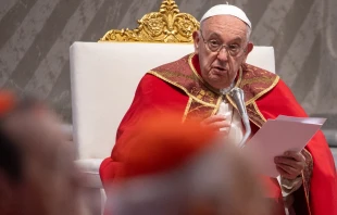 El Papa Francisco en la la homilía de la Misa de Pentecostés, 19 de mayo de 2024. Crédito: Daniel Ibáñez - EWTN News