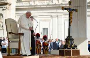 El Papa Francisco este 25 de octubre Crédito: Vatican Media