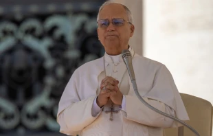 El Papa durante la Audiencia General Crédito: Daniel Ibañez/ EWTN News