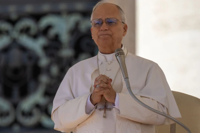 El Papa durante la Audiencia General