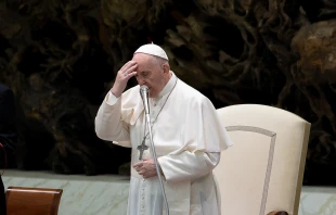 Papa Francisco Crédito: Daniel Ibañez