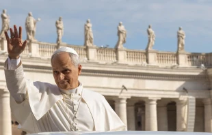 El Papa León XIV. Crédito: Vatican Media