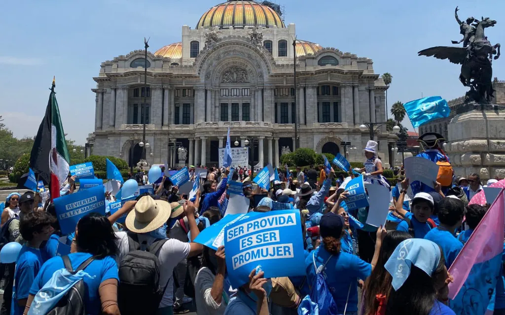 Marcha por la Vida en la Ciudad de México:?w=200&h=150