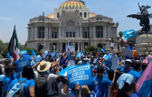 Marcha por la Vida en la Ciudad de México: Crédito: Pasos por la Vida