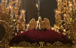El pelícano a los pies del Santísimo Cristo del Amor el Domingo de Ramos en Sevilla Crédito: Almudena Martínez-Bordiú