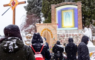 Peregrinos en el Santuario de la Virgen de Guadalupe del estado de Illinois. Crédito: Santuario de Nuestra Señora de Guadalupe - Oficial