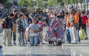 Peregrinos recorren de rodillas y de pie la Calzada de Guadalupe, que lleva hacia la Basílica de Guadalupe en Ciudad de México, el 12 de diciembre de 2017. Crédito: clicksdemexico/Shutterstock.